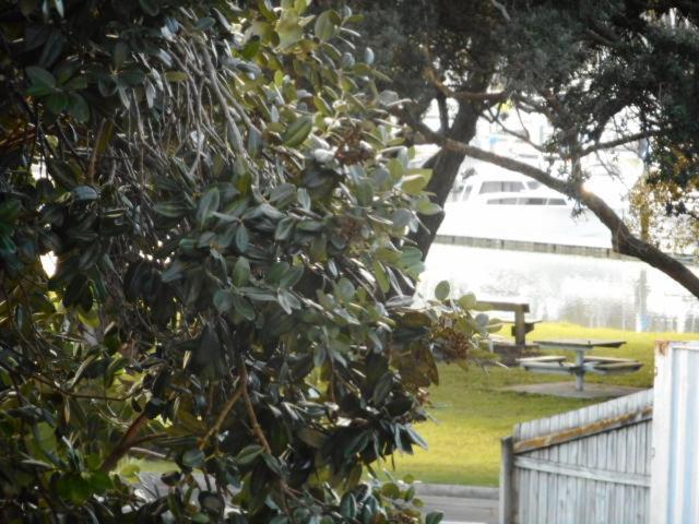 Apartment By The Marina Whitianga Exteriér fotografie